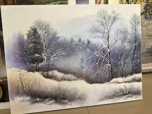 Whispers of Winter 80cm*60cm